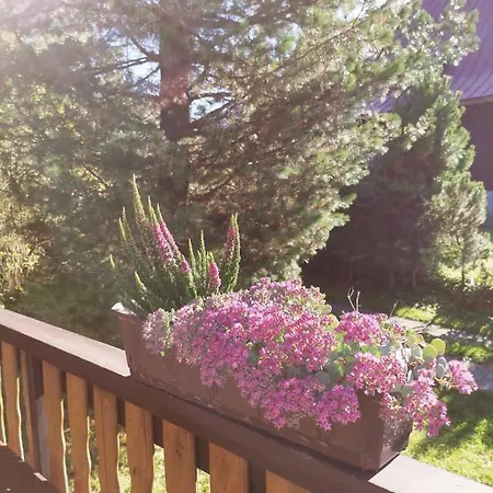 Javorina * Tatranska Javorina